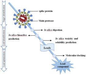 鉴定抗sars Cov 2 刺突蛋白和主蛋白酶的坚果蛋白衍生肽 Computers In Biology And Medicine X Mol