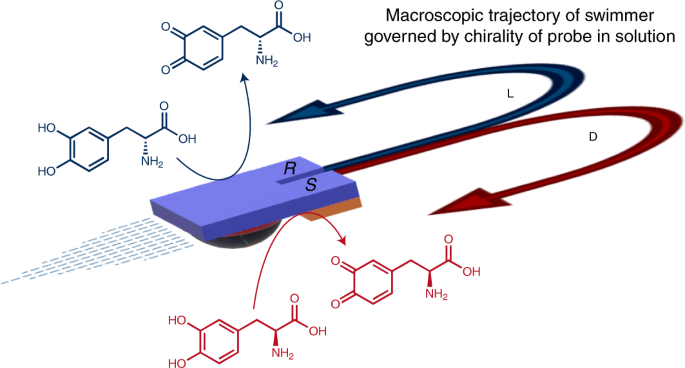 Direct Dynamic Read-out Of Molecular Chirality With Autonomous Enzyme ...