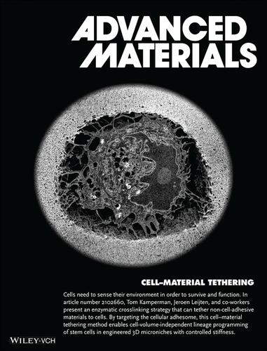 Tethering Cells via Enzymatic Oxidative Crosslinking Enables ...