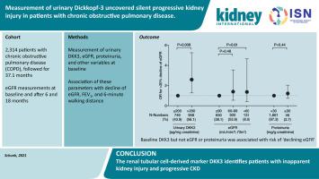 尿 Dickkopf-3 的测量揭示慢性阻塞性肺疾病患者的无症状进行性肾损伤,Kidney International - X-MOL