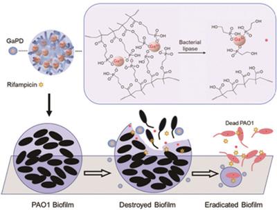 Antibiofilm Activity of Gallium(III) Complexed Anionic Polymers in