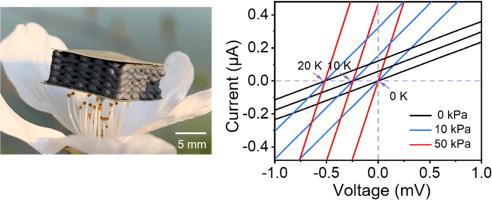 A Flexible Dual Parameter Sensor With Hierarchical Porous Structure For ...