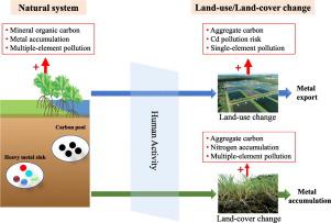 Effect Of Land-use And Land-cover Change On Mangrove Soil Carbon ...