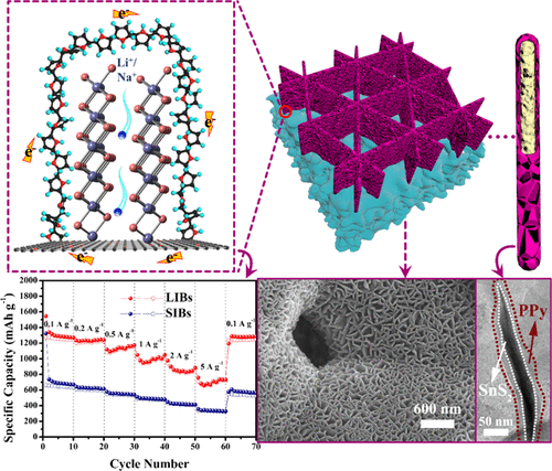 Polypyrrole-Wrapped SnS2 Vertical Nanosheet Arrays Grown On Three ...