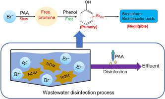 Transformation Of Bromide And Formation Of Brominated Disinfection ...