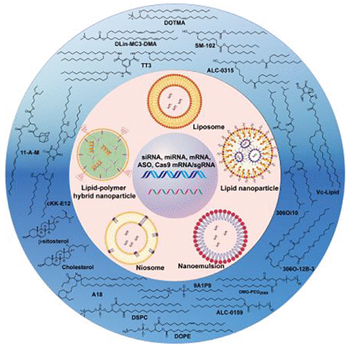 Lipids And Lipid Derivatives For Rna Delivery Chemical Reviews X Mol