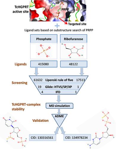 Structure-based virtual screening and computational study towards 