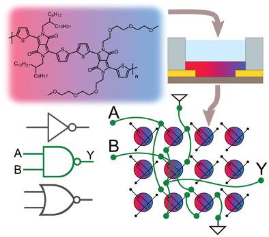 Single-Component CMOS-Like Logic Using Diketopyrrolopyrrole-Based ...