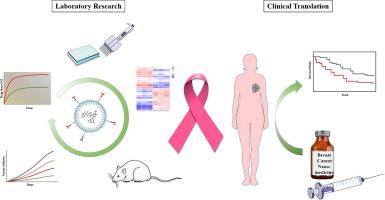 Current Understandings And Clinical Translation Of Nanomedicines For Breast Cancer Therapy