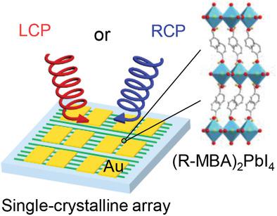 Chiral Hybrid Perovskite Single-Crystal Nanowire Arrays For High ...