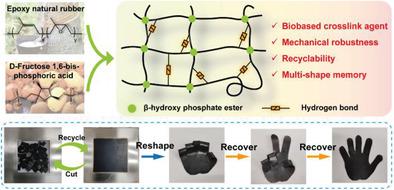 Catalyst-Free Vitrimer Cross-Linked By Biomass-Derived Compounds With ...