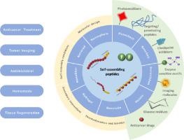 Supramolecular Peptide Nanostructures: Self-assembly And Biomedical ...