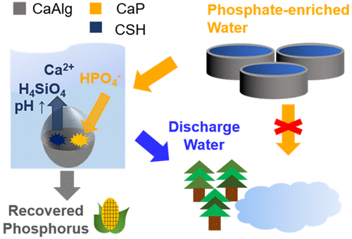 Engineering Calcium-Bearing Mineral/Hydrogel Composites For Effective ...