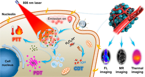 Intelligent Tumor Microenvironment Activated Multifunctional Nanoplatform Coupled With Turn On