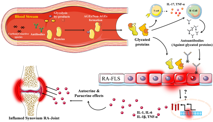 AGE/Non-AGE Glycation: An Important Event in Rheumatoid Arthritis