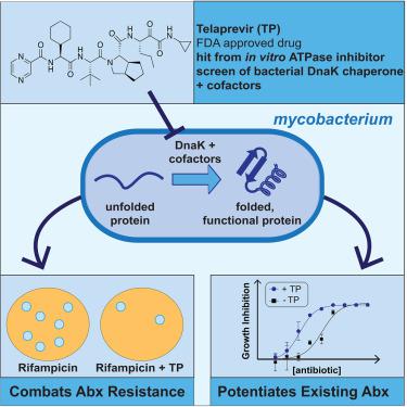 An Allosteric Inhibitor Of Bacterial Hsp70 Chaperone Potentiates ...