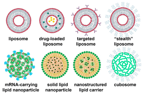 Mrna Acs Nano X Mol