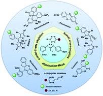 Derivatization Based On Tetrazine Scaffolds: Synthesis Of Tetrazine ...