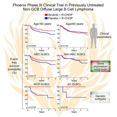 Effect Of Ibrutinib With R-CHOP Chemotherapy In Genetic Subtypes Of ...