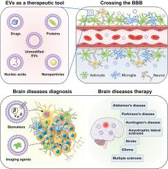 Emerging Prospects Of Extracellular Vesicles For Brain Disease ...