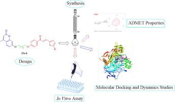 Novel thiophene Chalcones-Coumarin as acetylcholinesterase 