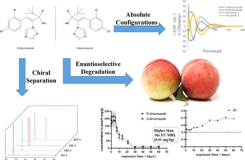 四种水果中二环唑对映异构体的对映选择性消散、残留及风险评估,Journal