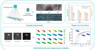 Full-field Strain And Temperature Evolution Of Electroactive Three ...