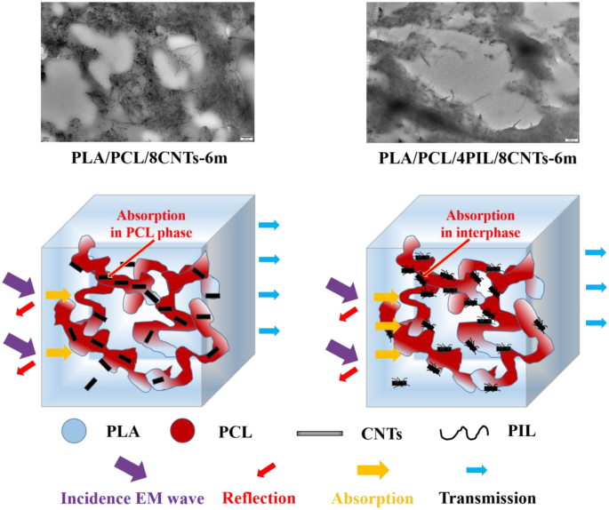 Improved Mechanical And Emi Shielding Properties Of Pla Pcl Composites By Controlling