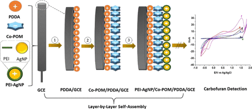 Efficient Preparation Of A Nonenzymatic Nanoassembly Based On Cobalt Substituted Polyoxometalate And Polyethylene Imine Capped Silver Nanoparticles For The Electrochemical Sensing Of Carbofuran Acs Omega X Mol