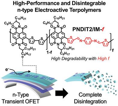 Disintegrable N-Type Electroactive Terpolymers For High-Performance ...