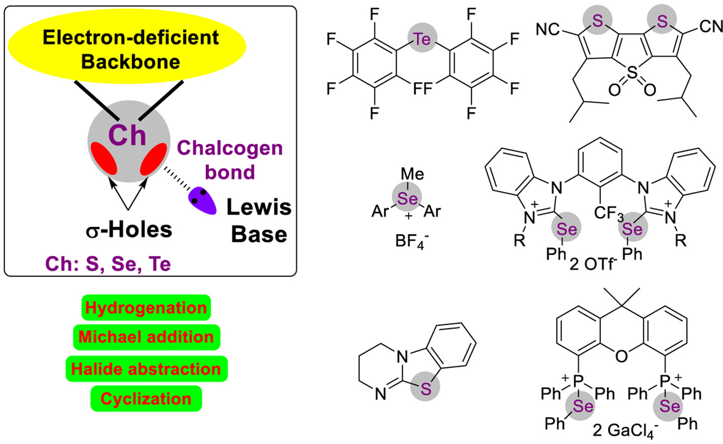 Harnessing Noncovalent Interaction Of Chalcogen Bond In Organocatalysis From The Catalyst Point 4154