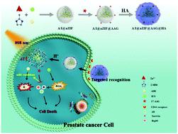 Combined effect of heat shock protein inhibitor geldanamycin and free