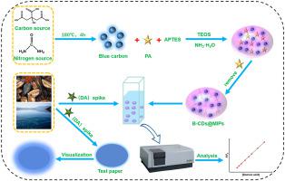 Development of fluorescence sensor and test paper based on molecularly