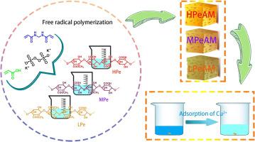 不同酯化度果胶水凝胶的制备及其结构和吸附性能评价 International Journal Of Biological Macromolecules X Mol