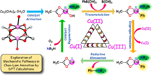 以chan Lam 胺化机制途径的理论基础进入化学空间 Acs Catalysis X Mol