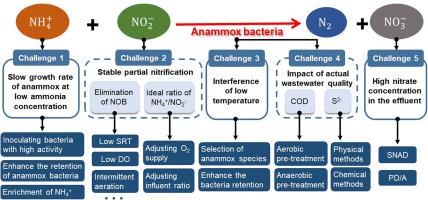 Challenges, Solutions And Prospects Of Mainstream Anammox-based Process ...