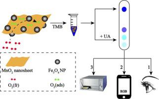 A Biosensor Based On The Biomimetic Oxidase Fe3O4@MnO2 For Colorimetric ...