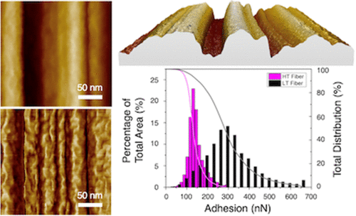 碳纤维表面功能景观 纳米级形貌和特性分布 Acs Applied Materials Interfaces X Mol