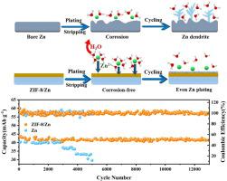 无枝晶锌离子混合超级电容器锌金属表面的原位调控,Journal of Colloid 