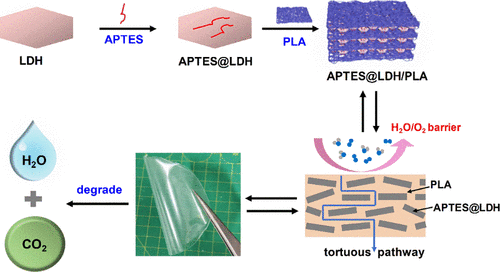 Biodegradable Layered Double Hydroxide/Polymer Films For Efficient ...