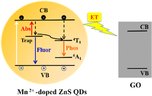 Energy Transfer From Dual-Emission Manganese-Doped Quantum Dots To ...