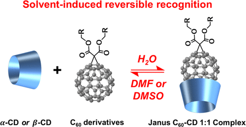 Reversible 1 1 Inclusion Complexes Of C60 Derivatives In A And B Cyclodextrins Implications For Molecular Recognition Based Sensing And Supramolecular Assembly X Mol