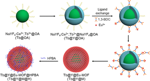 Core–Shell Lanthanide-Doped Nanoparticles@Eu-MOF Nanocomposites For ...