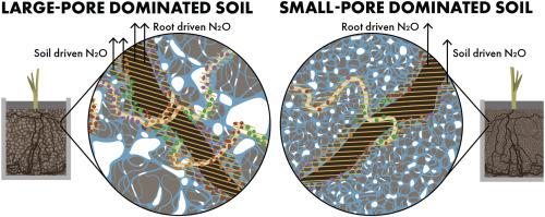 soil-pore-architecture-and-rhizosphere-legacy-define-n2o-production-in-root-detritusphere-soil