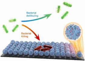 One-step Surface Modification Strategy With Composition-Tunable ...