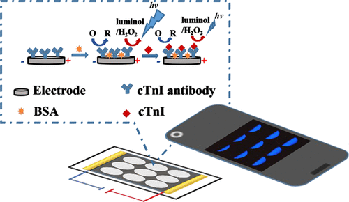 Single Electrode Electrochemical System For The Visual And High Throughput 2596