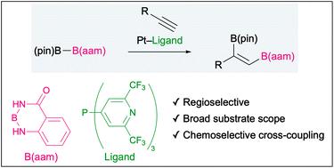 铂-P(BFPy)3 催化末端炔烃与 (pin)B-B(aam) 的区域选择性二硼化,Organic Chemistry Frontiers ...