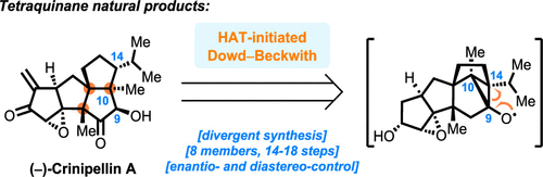 Divergent Total Syntheses Of (−)-Crinipellins Facilitated By A HAT ...