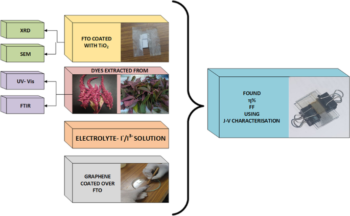 用苋菜叶和花提取染料制备的染料敏化太阳能电池分析 Environmental Science And Pollution Research X Mol