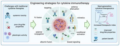 Engineering Interferons And Interleukins For Cancer Immunotherapy